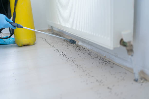 Best Commercial Pest Control Services  in Elmwood Place, OH