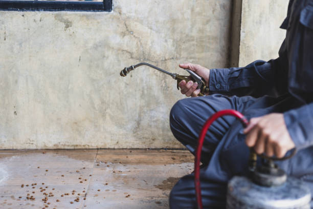 Best Residential Pest Control  in Elmwood Place, OH